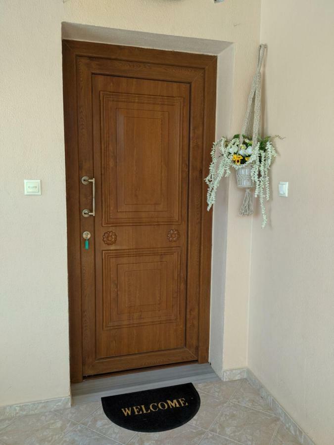 Apartments Irene In Sykia Ngoại thất bức ảnh